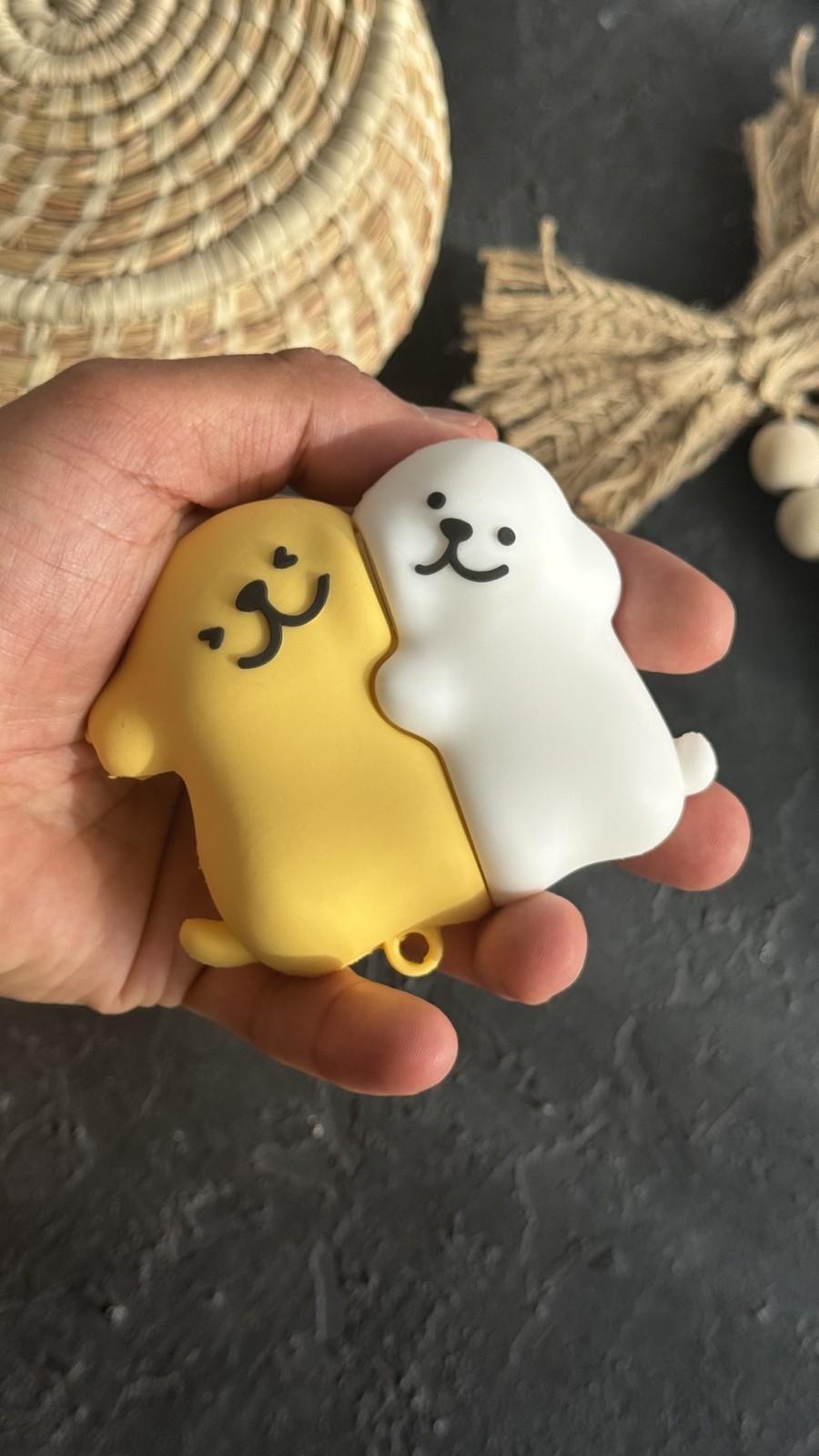 کاور ایرپاد دوستی سگ و گربه